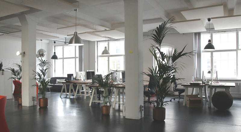 Ett modernt och trendigt inrett kontor med fokus på öppen planlösning
